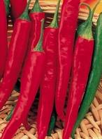 Sell Red Mall Chilli