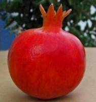 Fresh Pomegranets