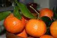  Tangerine s,Oranges,Lemon,Grapes