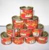 Tomato Paste