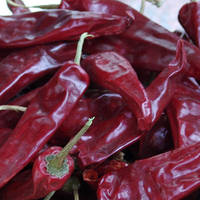 Chilli