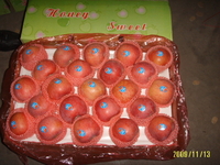 Fuji Apple