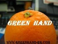  Fresh   Citrus 