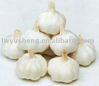 Fresh Normal White Garlic