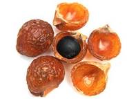  Soap nut Shells/ Soap  Nuts/Organic  Soap nuts/Sapindus Mukorossi