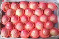  Red   Star   Apples 