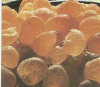 Arabic Gum