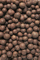  Allspice , Pimento, Spice