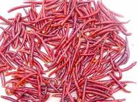 Red  Dried  Chilis,Pepper