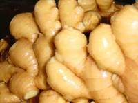Fresh Ginger,Fresh Onion,Preserved Garlic,Fresh Horseradish