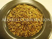 Cumin Seeds