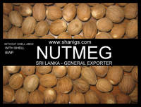 Nutmeg Bwp