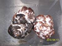 Black  Truffle 