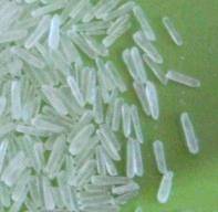 Monosodium Glutamate