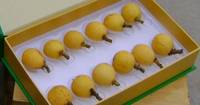 Frozen Fruit Apples /Pears /Peachs /Loquats