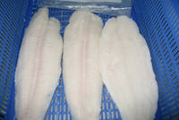 Pangasius Fillet