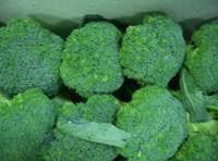Fresh Broccoli