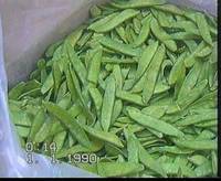 frozen peapods