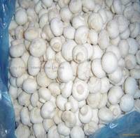 Frozen Champignon