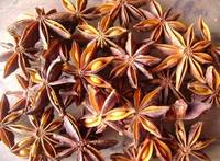 Star Anise/Lllicium Verum/Fennel/Cinnamon