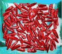 Bullet Chilli
