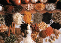  Spice s  Condiment s and Seasonings