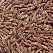 Cumin Seed