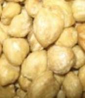  Candlenut s