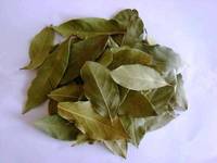  Spice ,  Herb s and Spicy Seeds