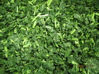  IQF   Chopped   Spinach 