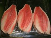 Tilapia Fillet