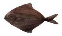 POMFRET BLACK