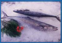 WAHOO IN WHOLE