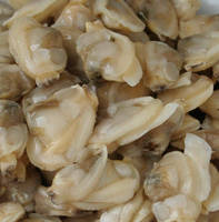  Frozen  and Cook Mottle  Clam   Meat 