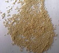 Yeast for Bread Making