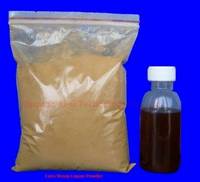 Corn Steep Liquor in Dry Powder