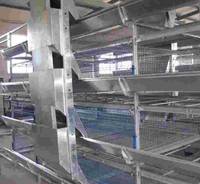  Chicken   Cage 