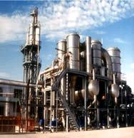  Tomato   Paste   Production   Line 