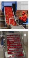  Tomato   Sauce   Process  Machine