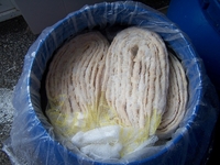 Tubed  Hog   Casing ,  Salted   Hog   Casing , Natural Sausage  Casing 