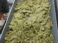  Fruit   Processing 