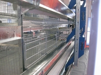  Poultry  Cage,Chicken Cage, Automatic   Poultry   Equipment ,Chicke