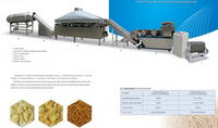 Snacks/ Food Machine:  Fried   Flour  Snack Food Processing Line