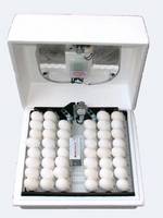 Poultry   Incubator 