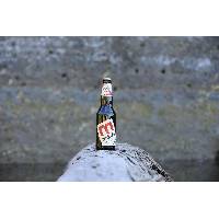  mike  s PREMIUM ORGANIC ALE