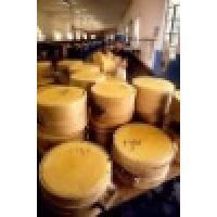 Yellow Cheese from Cow Milk