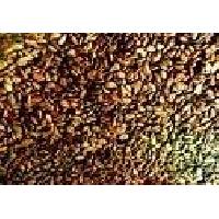  Dried   Cocoa   Seeds 