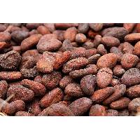 Cocoa beans