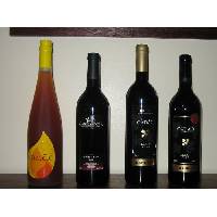 Wine From Portugal / Douro-Port Region