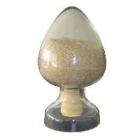 Food Enzyme, Industrial Enzymes
